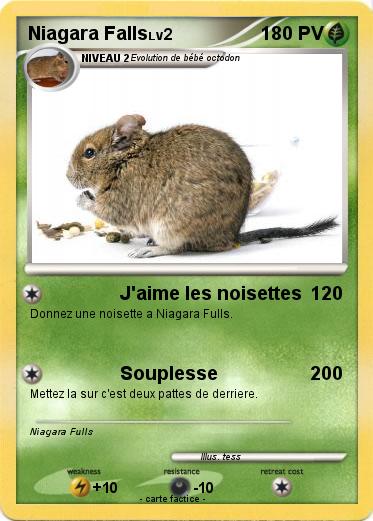 Pokemon Niagara Falls