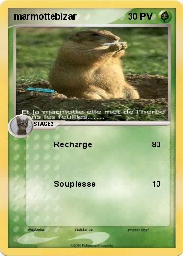 Pokemon marmottebizar