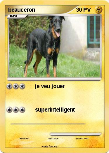 Pokemon beauceron