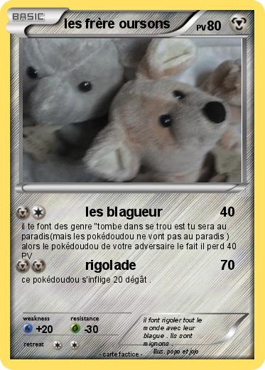 Pokemon les frère oursons