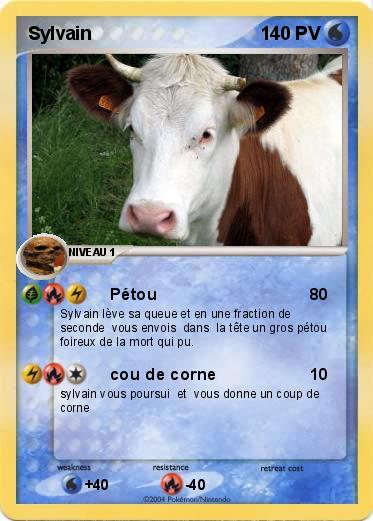 Pokemon Sylvain