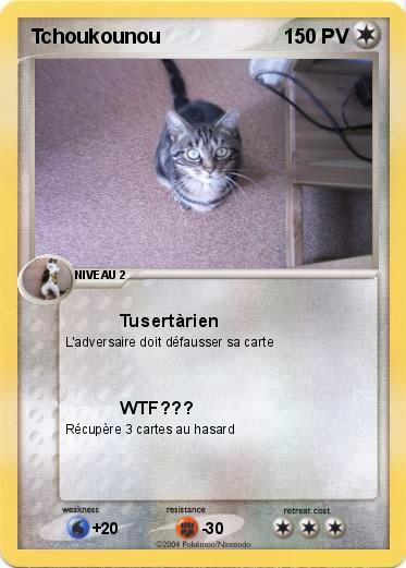 Pokemon Tchoukounou