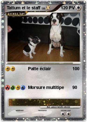 Pokemon Tattum et le staff