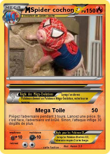 Pokemon Spider cochon
