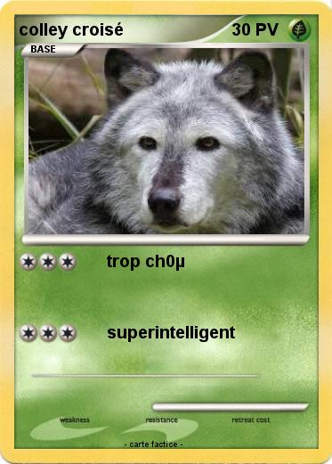 Pokemon colley croisé