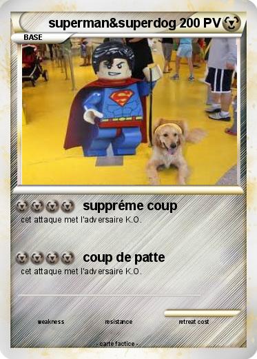 Pokemon superman&superdog