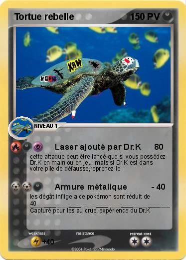 Pokemon Tortue rebelle