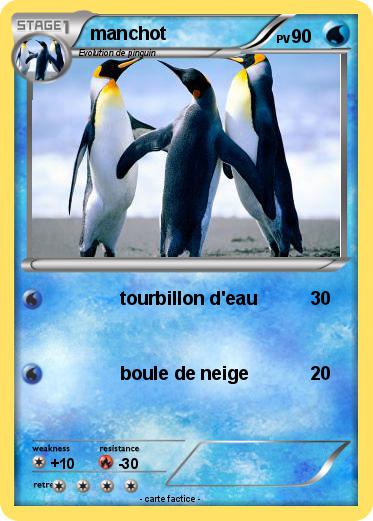 Pokemon manchot