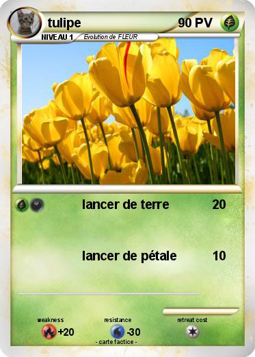 Pokemon tulipe