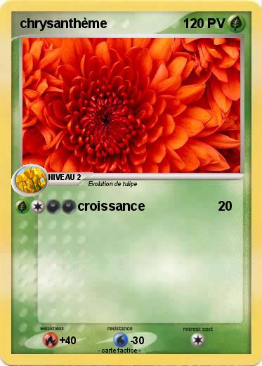Pokemon chrysanthème