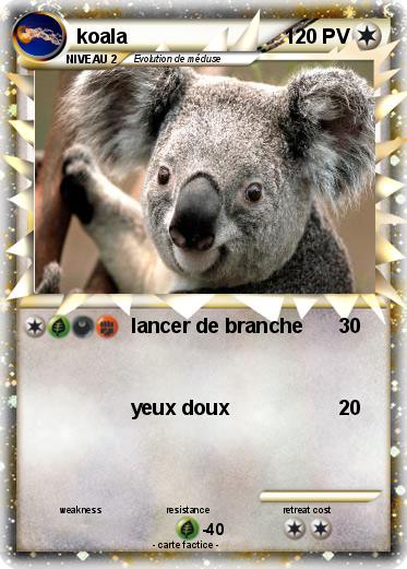 Pokemon koala