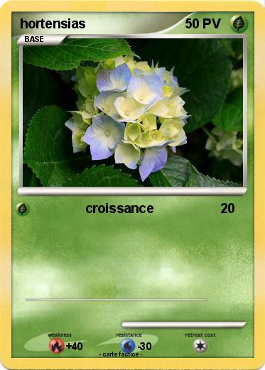 Pokemon hortensias