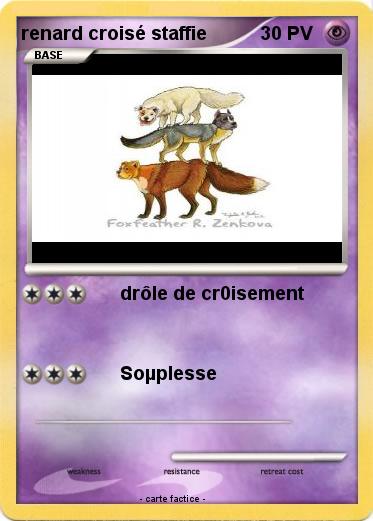 Pokemon renard croisé staffie