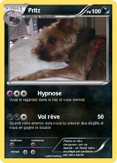 Pokemon Fritz