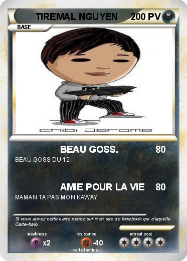 Pokemon TIREMAL NGUYEN