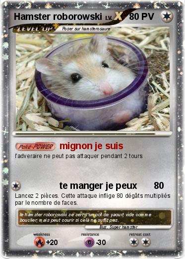 Pokemon Hamster roborowski