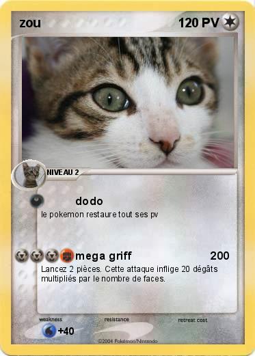 Pokemon zou