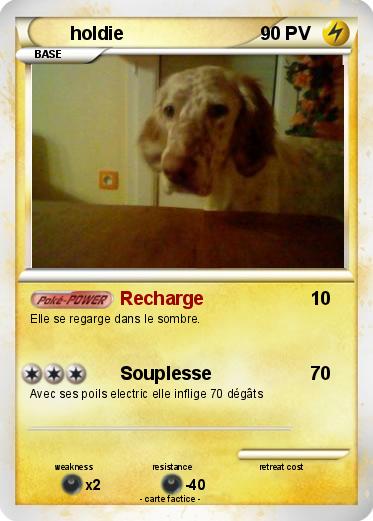 Pokemon holdie