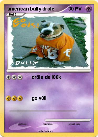 Pokemon américan bully drôle