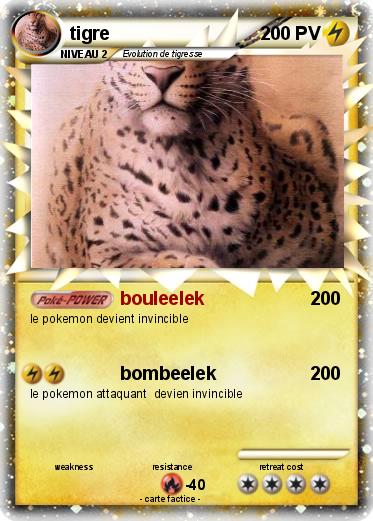 Pokemon tigre