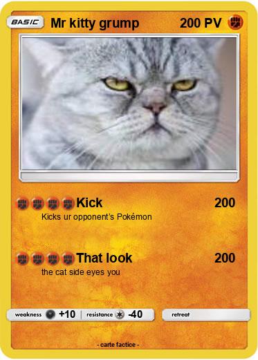 Pokemon Mr kitty grump