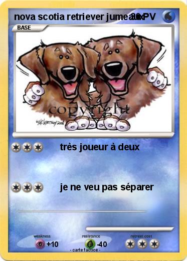 Pokemon nova scotia retriever jumeaux
