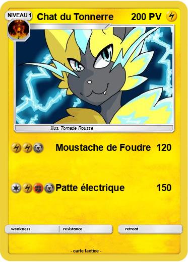 Pokemon Chat du Tonnerre