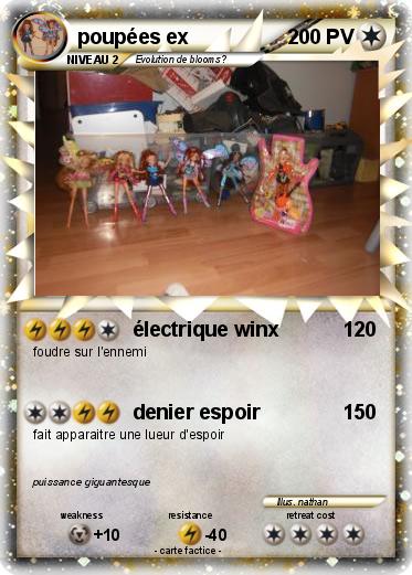 Pokemon poupées ex