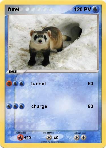Pokemon furet