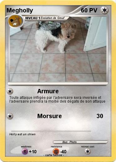 Pokemon Megholly
