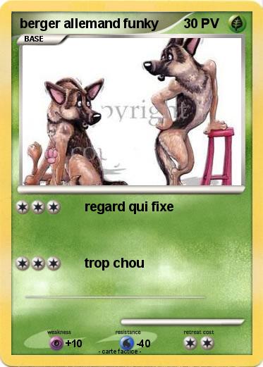 Pokemon berger allemand funky