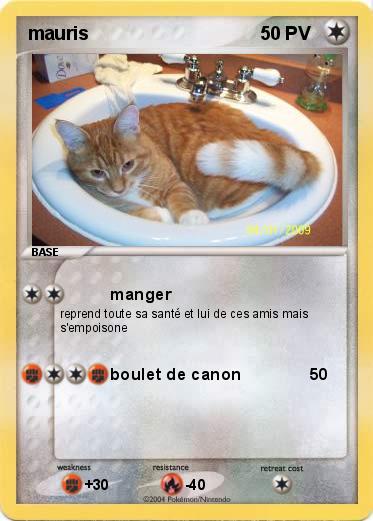 Pokemon mauris
