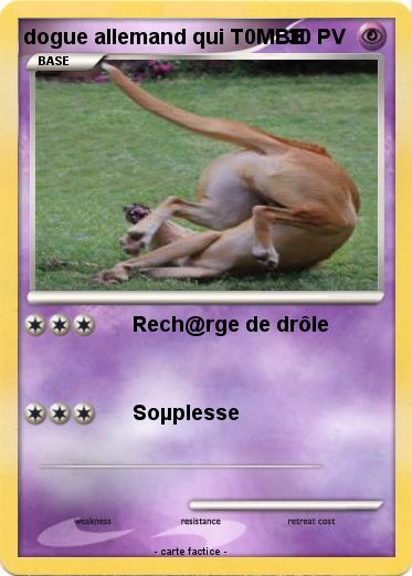Pokemon dogue allemand qui T0MBE