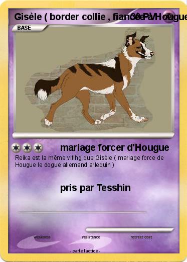 Pokemon Gisèle ( border collie , fiancée à Hougue )