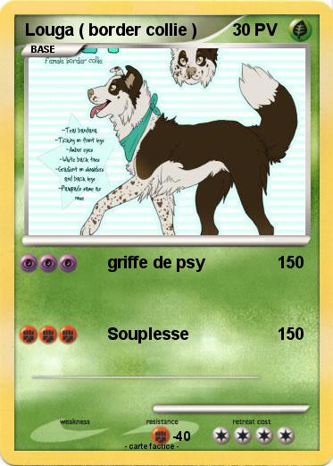 Pokemon Louga ( border collie )