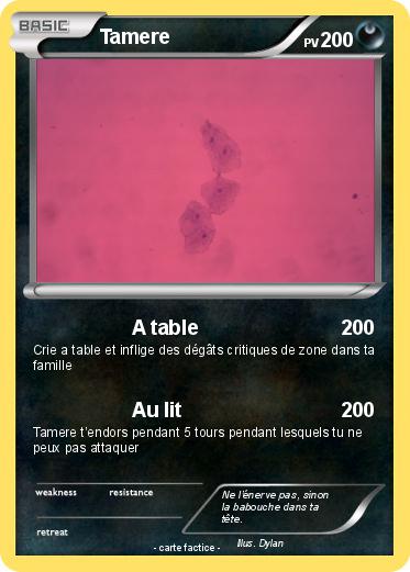 Pokemon Tamere