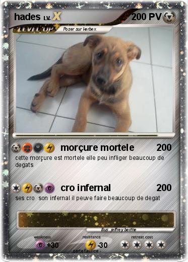 Pokemon hades