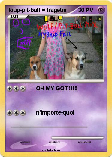 Pokemon loup-pit-bull = tragetie