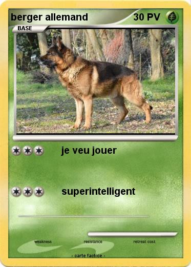 Pokemon berger allemand