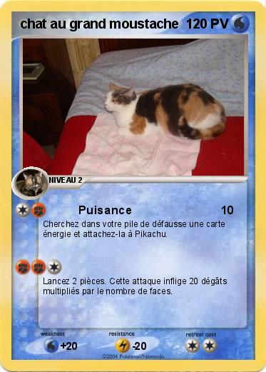 Pokemon chat au grand moustache