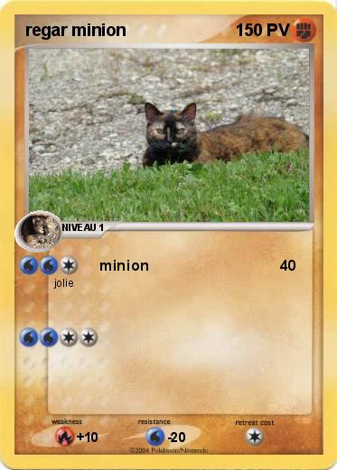 Pokemon regar minion