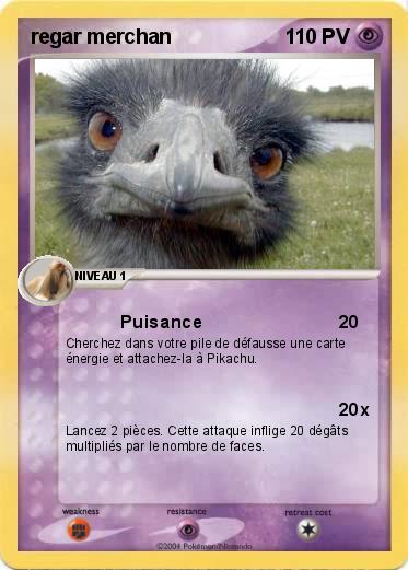 Pokemon regar merchan