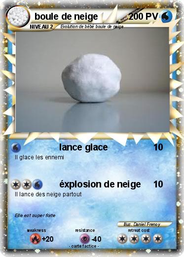 Pokemon boule de neige