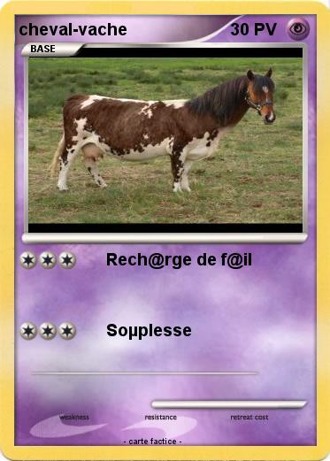 Pokemon cheval-vache
