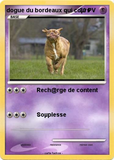 Pokemon dogue du bordeaux qui coµrs