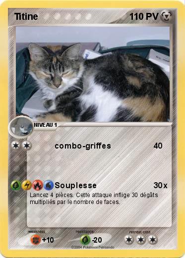 Pokemon Titine