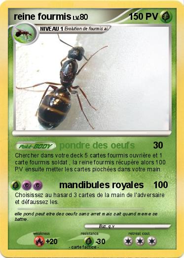 Pokemon reine fourmis