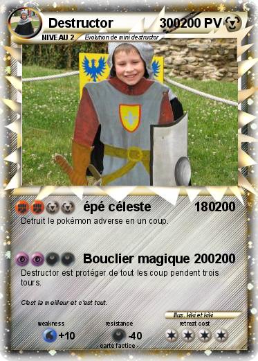 Pokemon Destructor             300