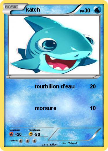 Pokemon katch