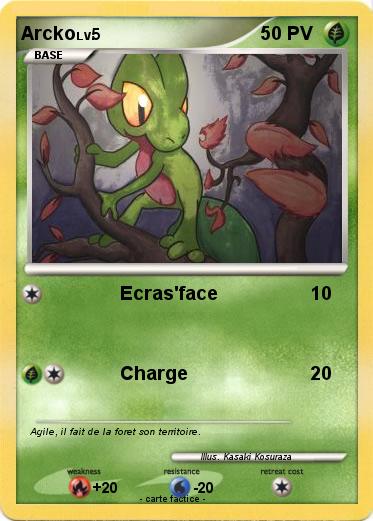 Pokemon Arcko